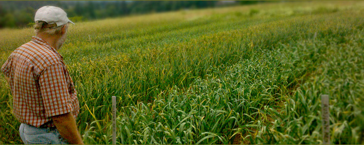 drainage, sustainability,farmers, agriculture