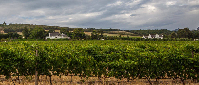 Helderberg Wine Estates