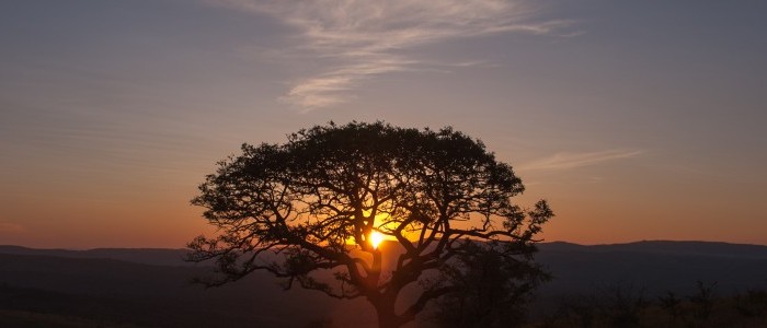 Interest Rates, The Monetary Policy Committee, Finance, National Budget, Reserve Bank