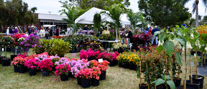 Grahamstown Flower Festival, Festival, Eastern Cape, Show, Flowers
