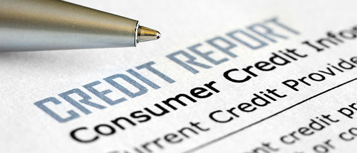 Kudough Credit Services, Identity Theft, debt counsellor, credit status,Debt Counselling