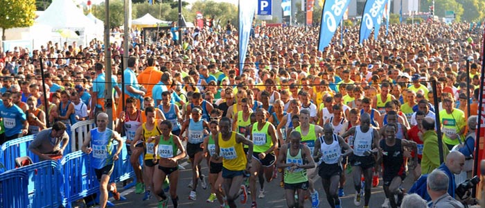 Marathon, Walk, Run, Neon, Bidvest