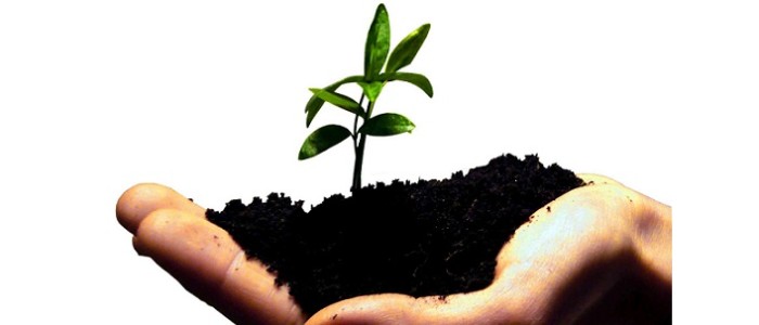 Nedbank, startup, banking, Small Business