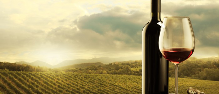 Nederburg Wine Auction, Nederburg, Winelands, Paarl,Auction