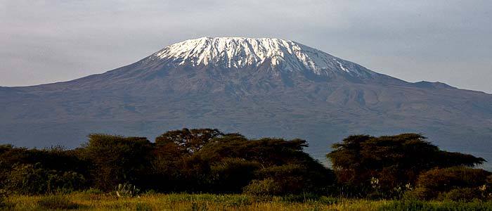 Nelson Mandela Foundation, Kilimanjaro, Mountain Climbing, Trek4Mandela