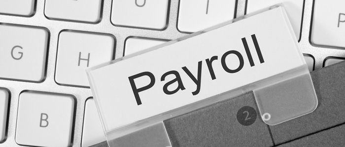 Payroll Professionals, HR, Payroll Professionals, payroll, Employment