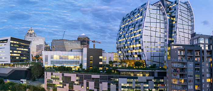 Things to do in Rosebank