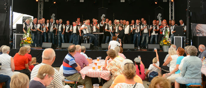 Music and Food Festival