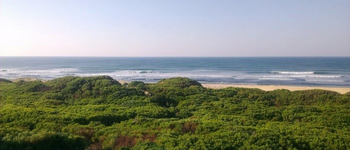 The Two Oceans Hermanus Whale Festival