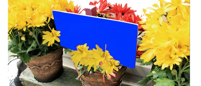 The Constantia Gift Fair The Constantia Gift Fair