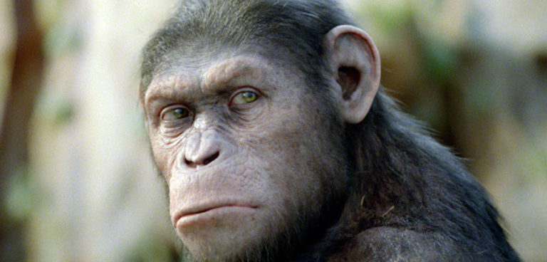 Caesar Returns to Lead Apes in Battle- War of the Planet of the Apes