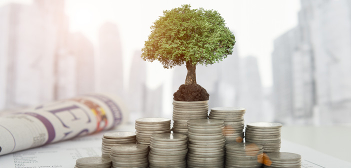 Raising_The_Bar_Investments_of_funds_all_you_need_to_know